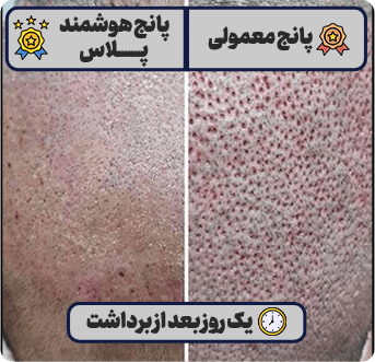 کلینیک رایان