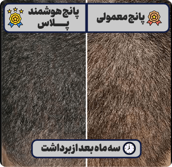 کلینیک رایان